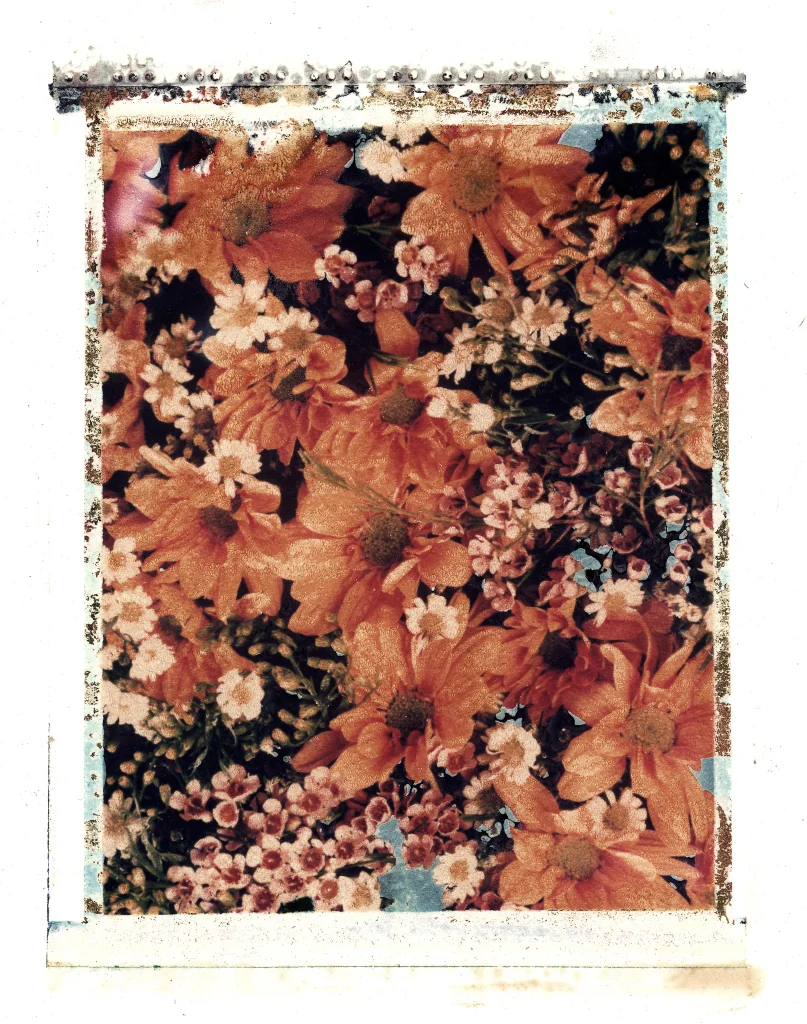WildFlowers.JPG