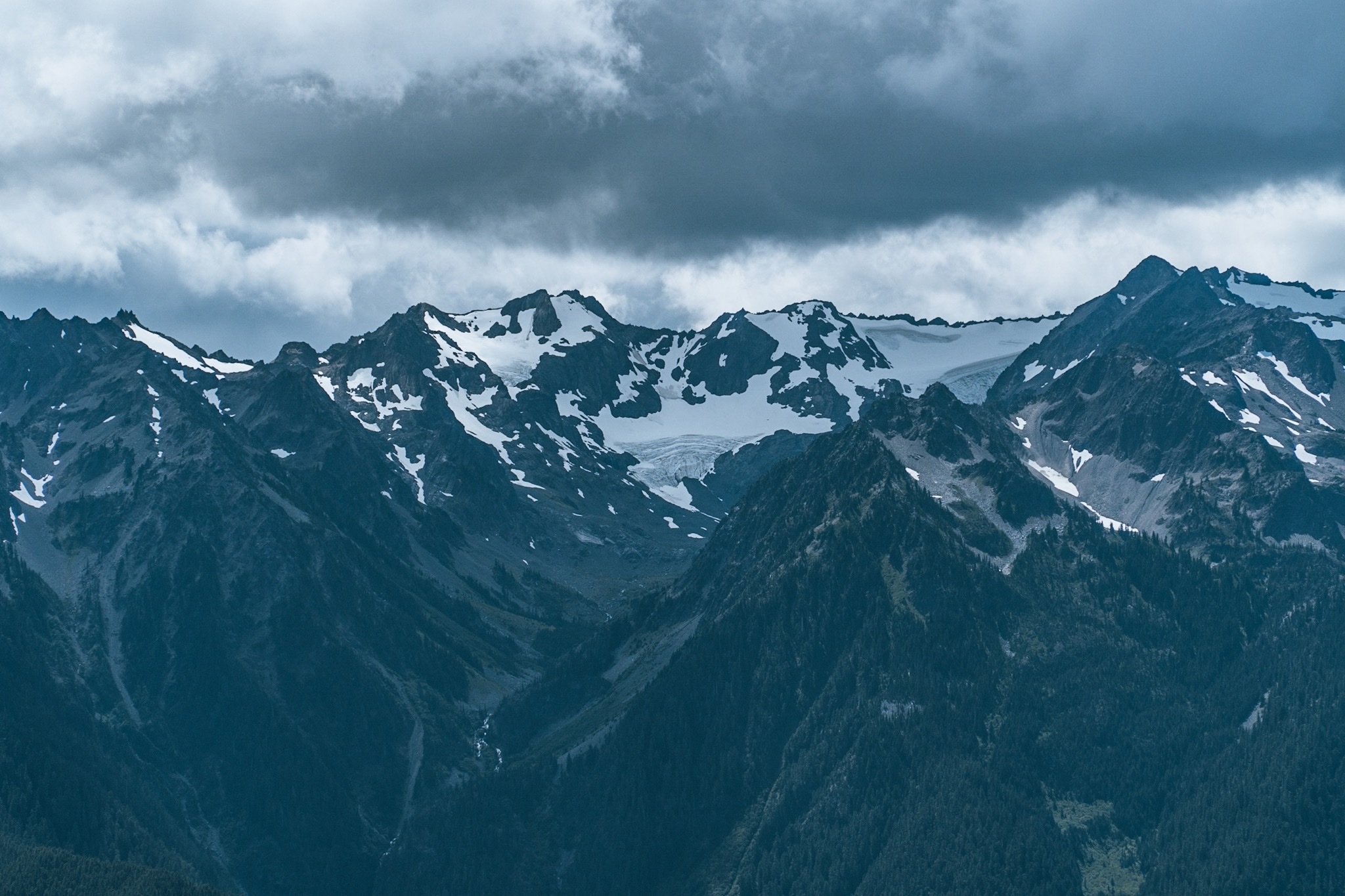 Day 2 - Hurricane Ridge