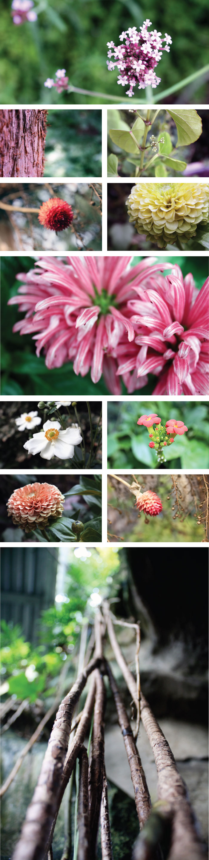 ClevelandBotanicalGardensMacros.jpg