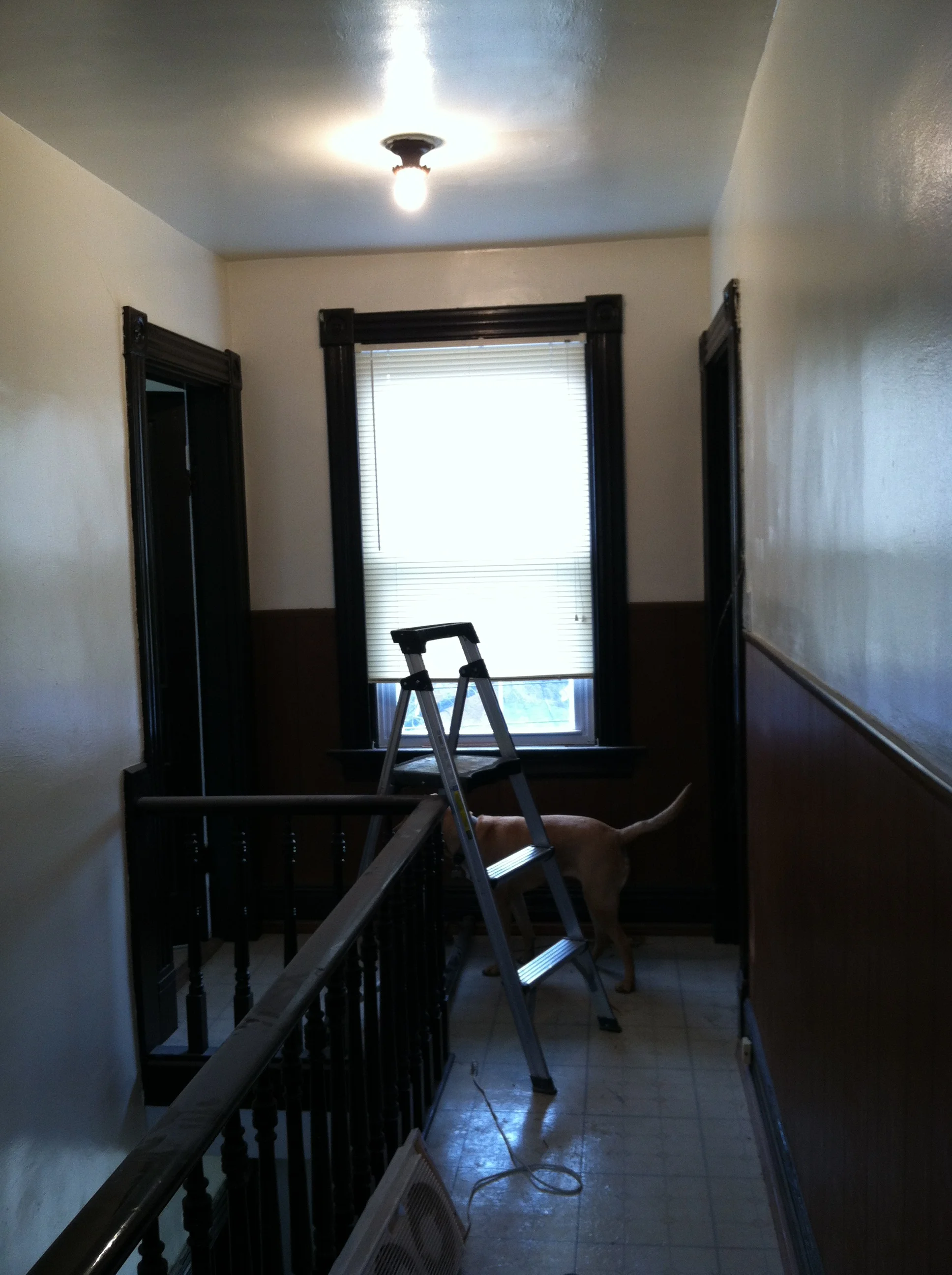 This is the opposite end of the hallway. Kitchen on the left and bedroom and living room on the right. 