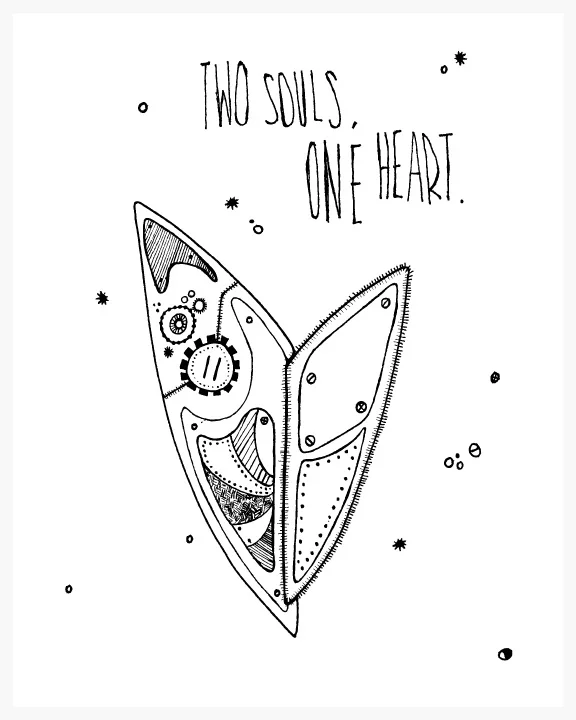 2Souls_8x10.jpg