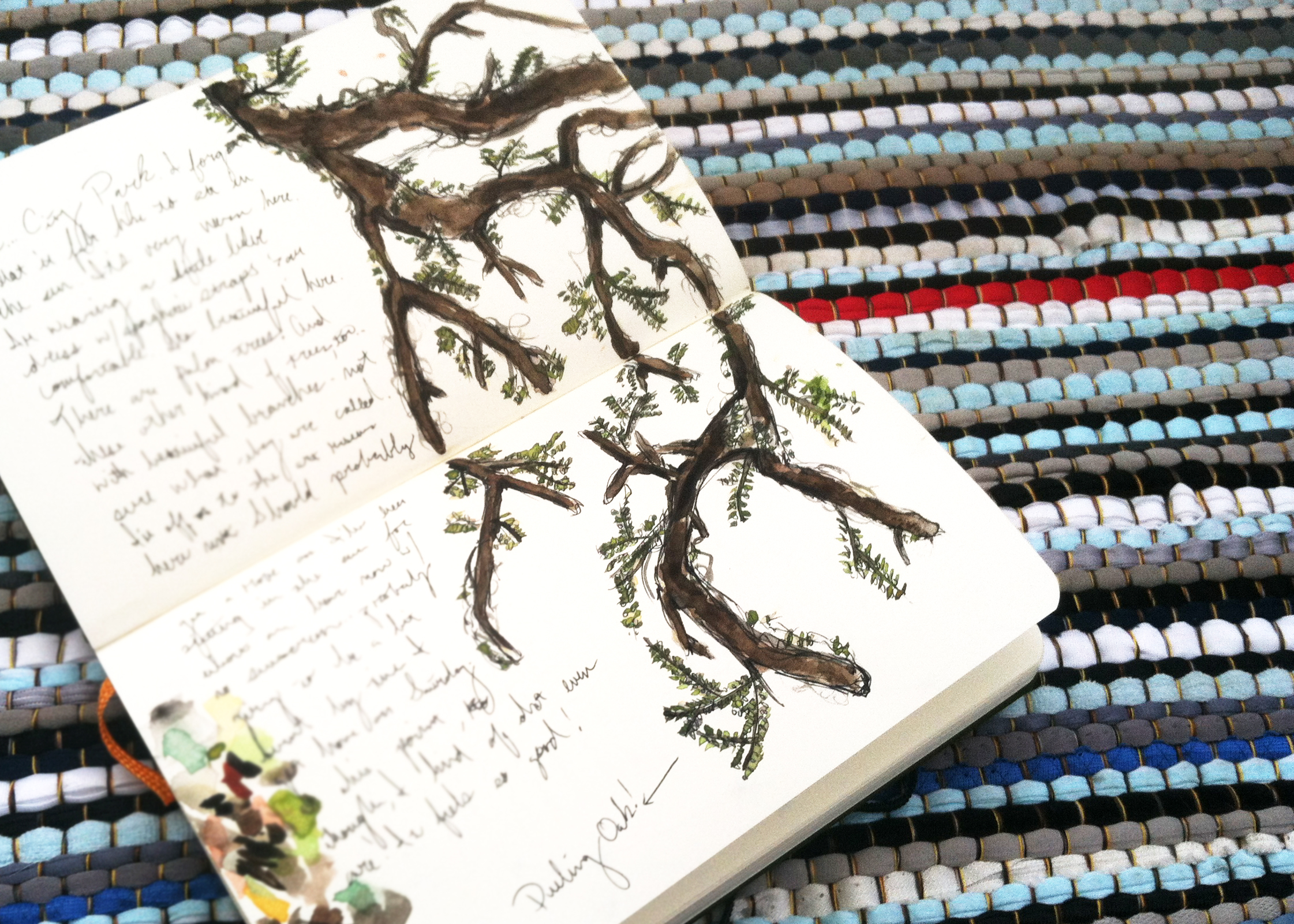 Dueling Oak tree / Live Oak tree watercolor sketch