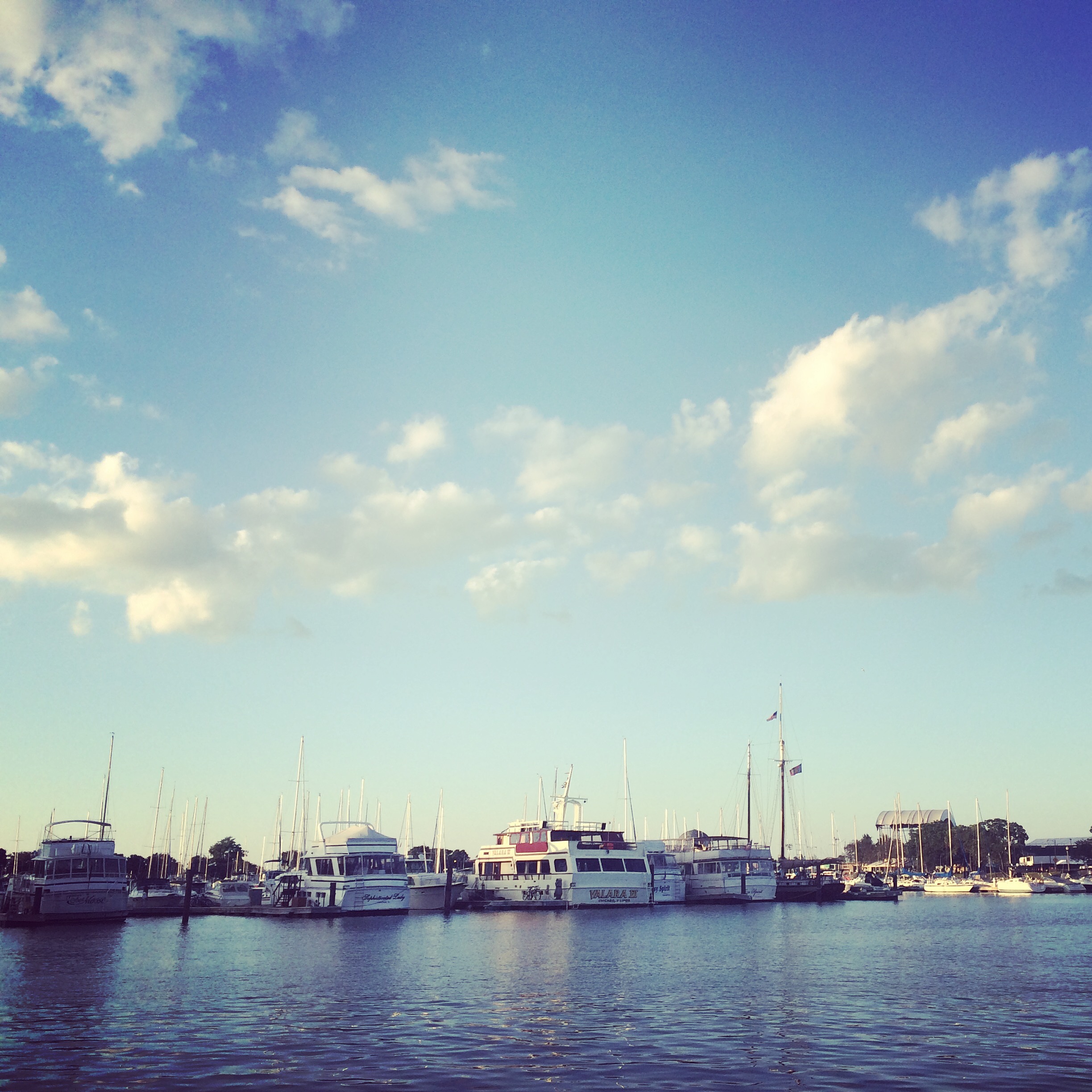 This was the Lakefront Trail . It was really crazy to see all of these boats docked right in front of the big city. 