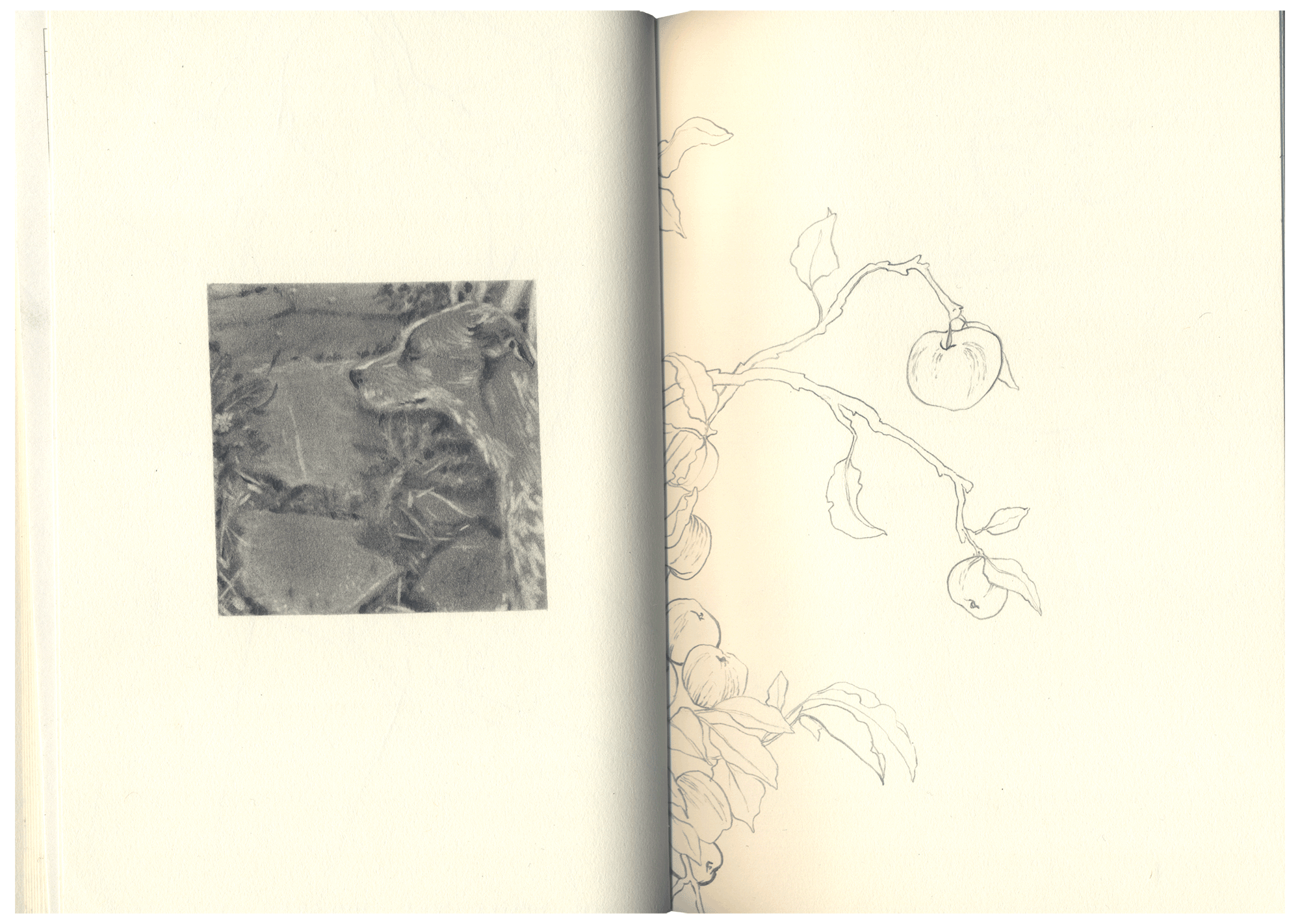 nicomi-nix-turner-sketchbook-7.png