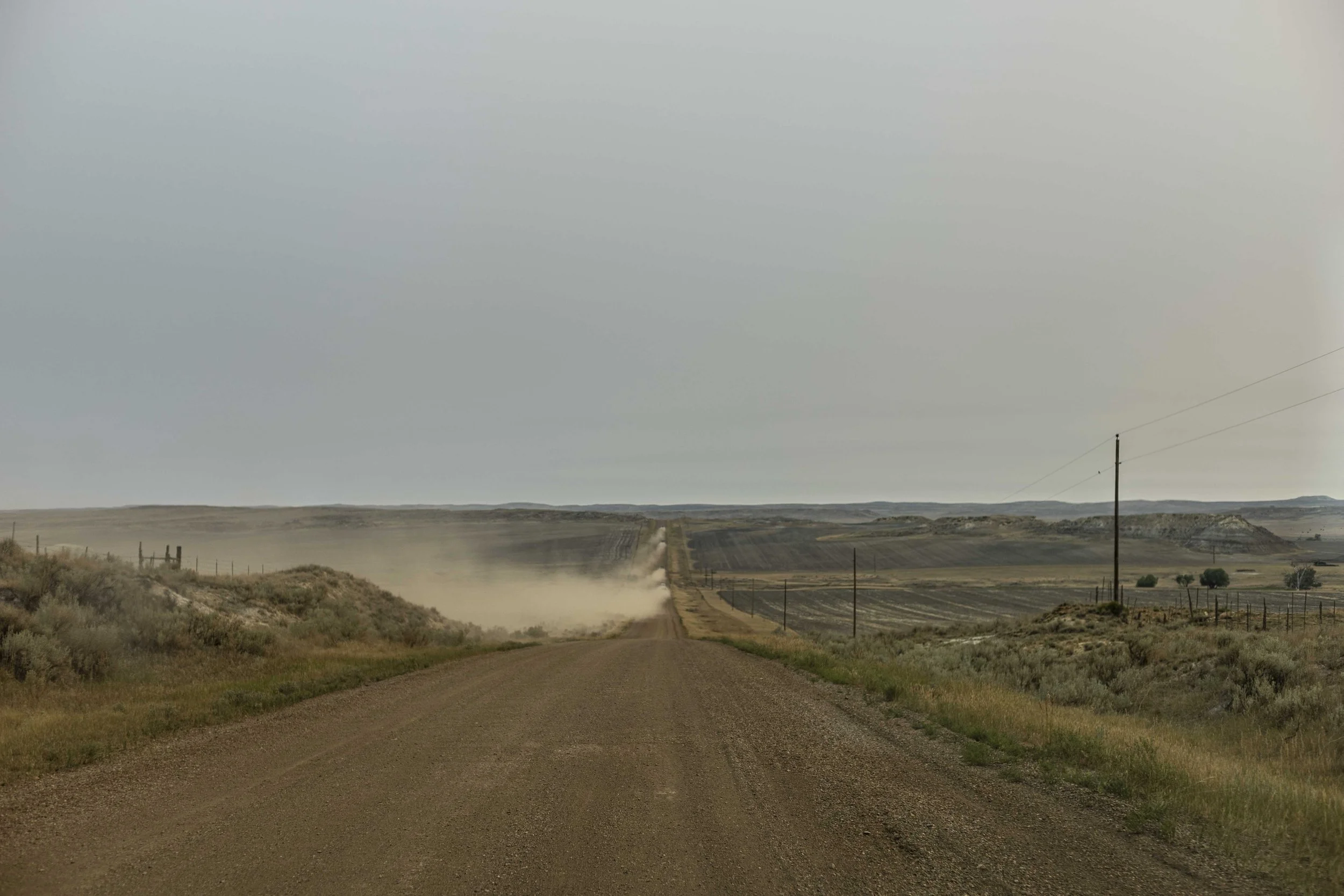 20210719_Flyby Triceratops-1008.jpg