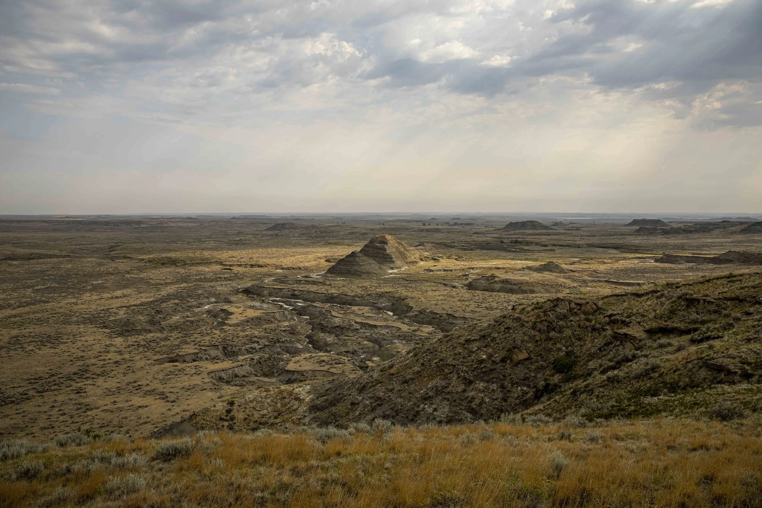 20210723_Flyby Triceratops-1440.jpg