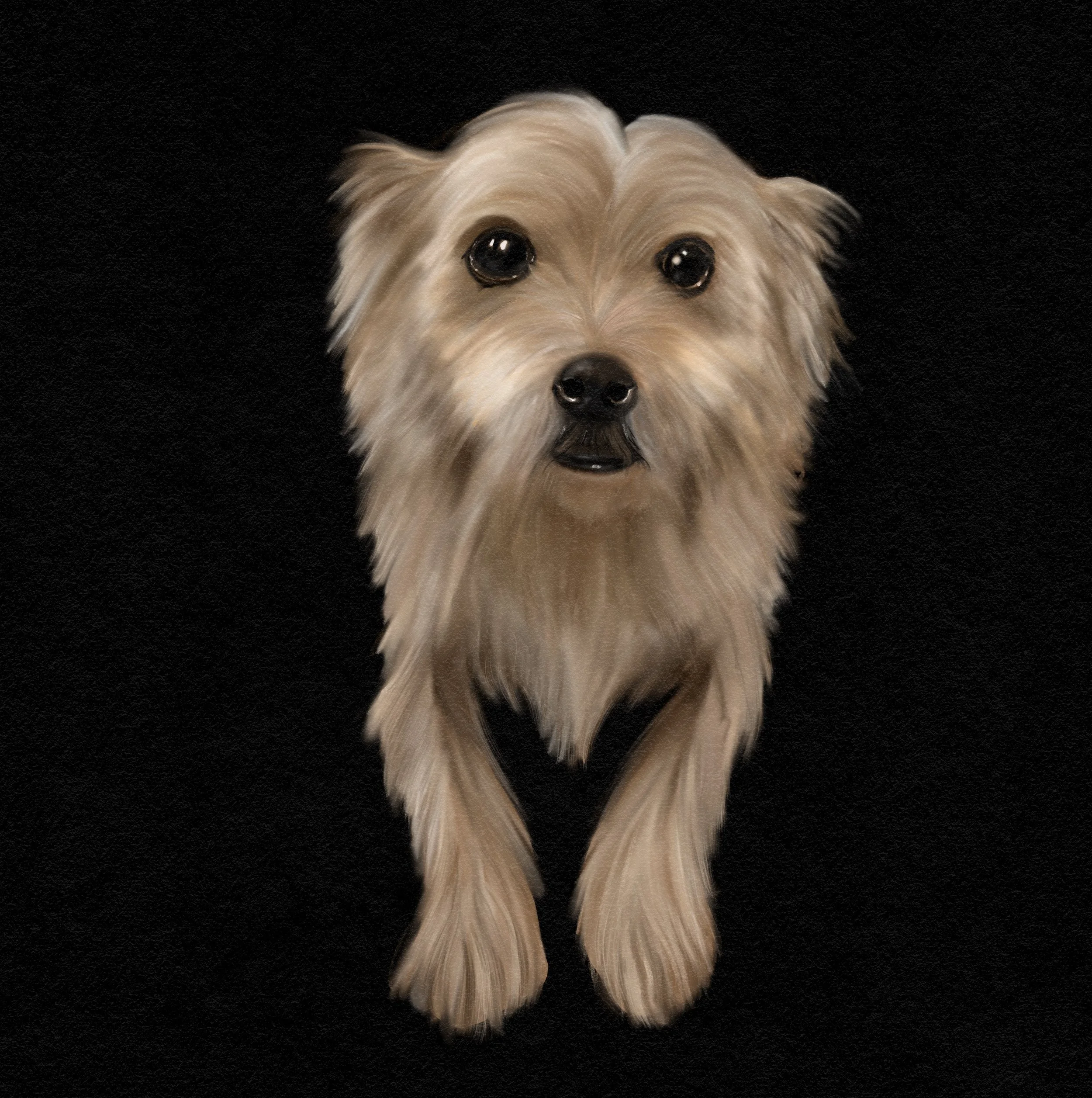 "Bolt" illustration
Role: Illustrator