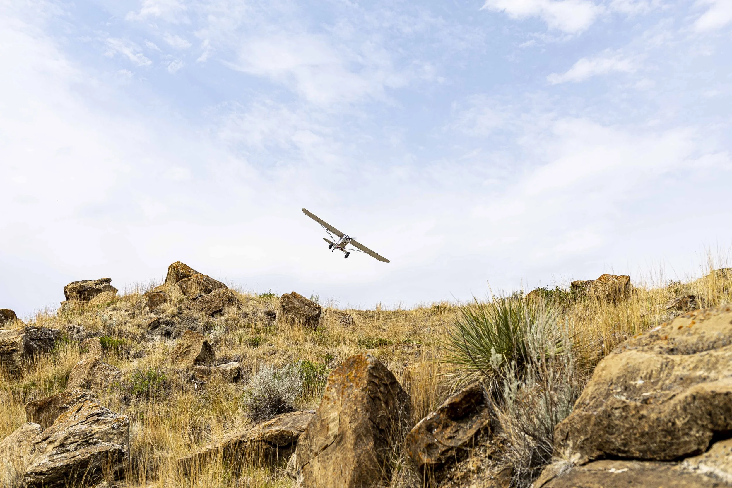 20210720_Flyby Triceratops-1519.jpg
