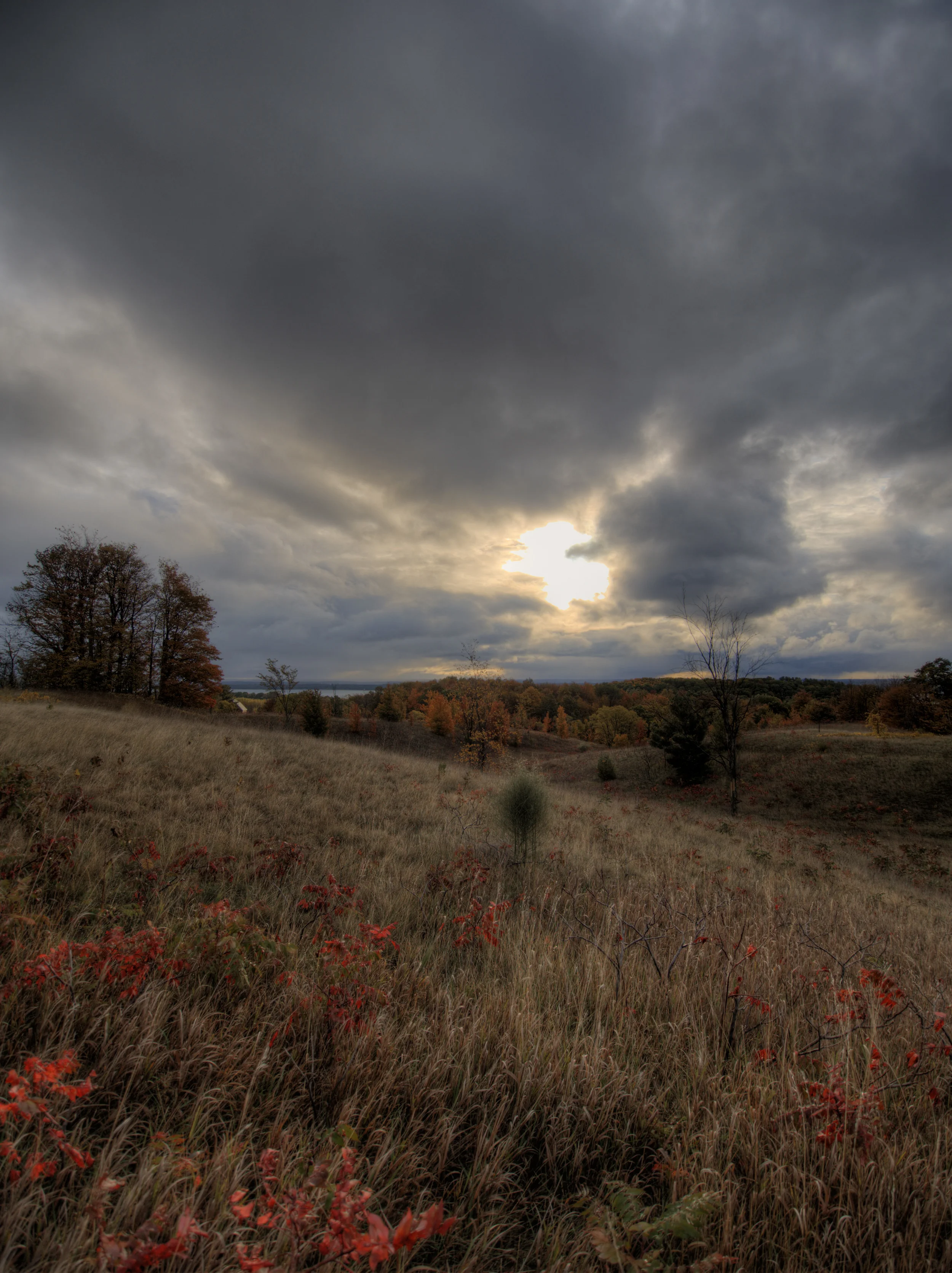 Taken with the Olympus OM-D and mZuiko 9-18mm along M37 on Old Mission Peninsula