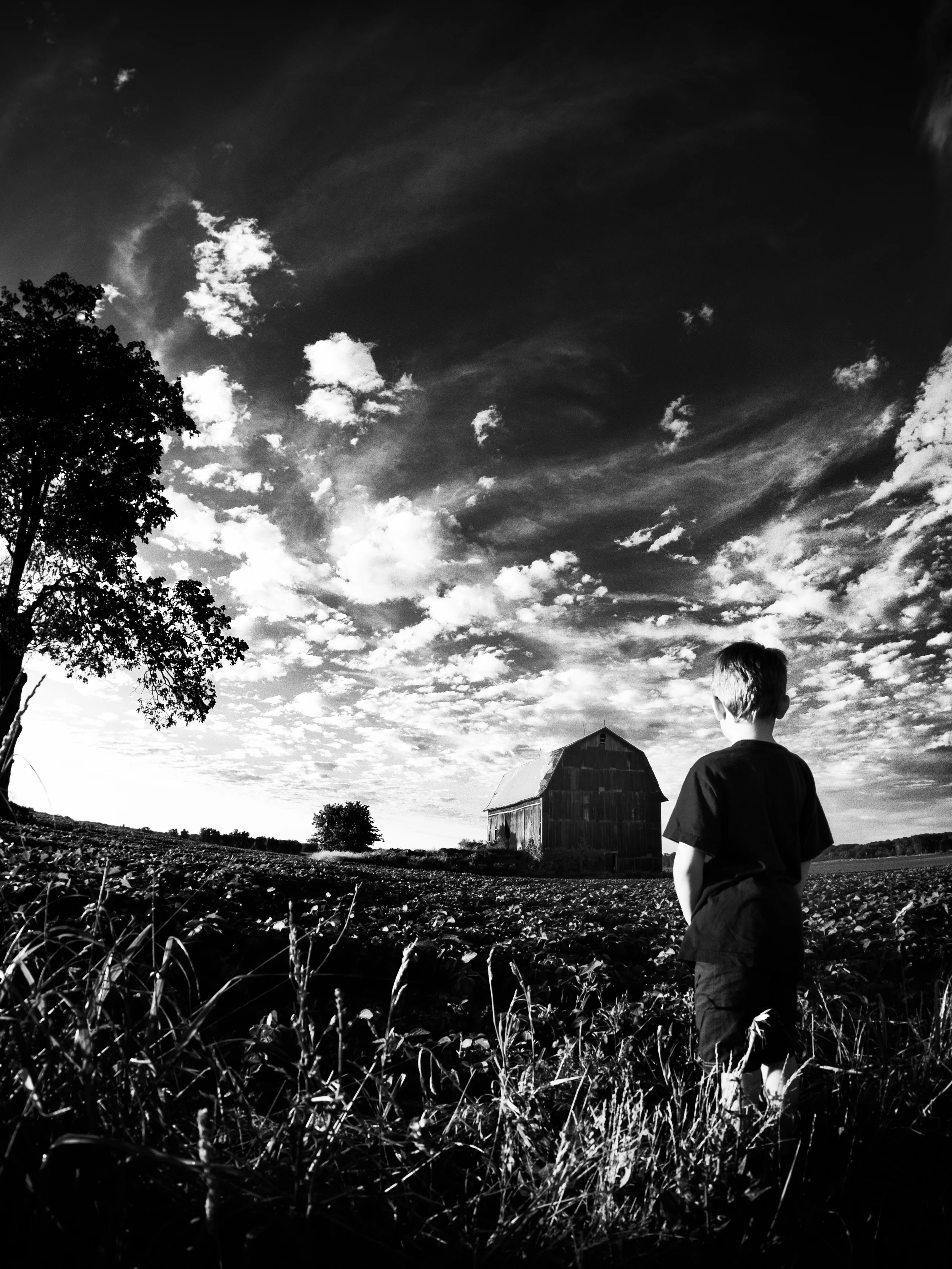 Olympus OM-D + 8mm Fisheye.