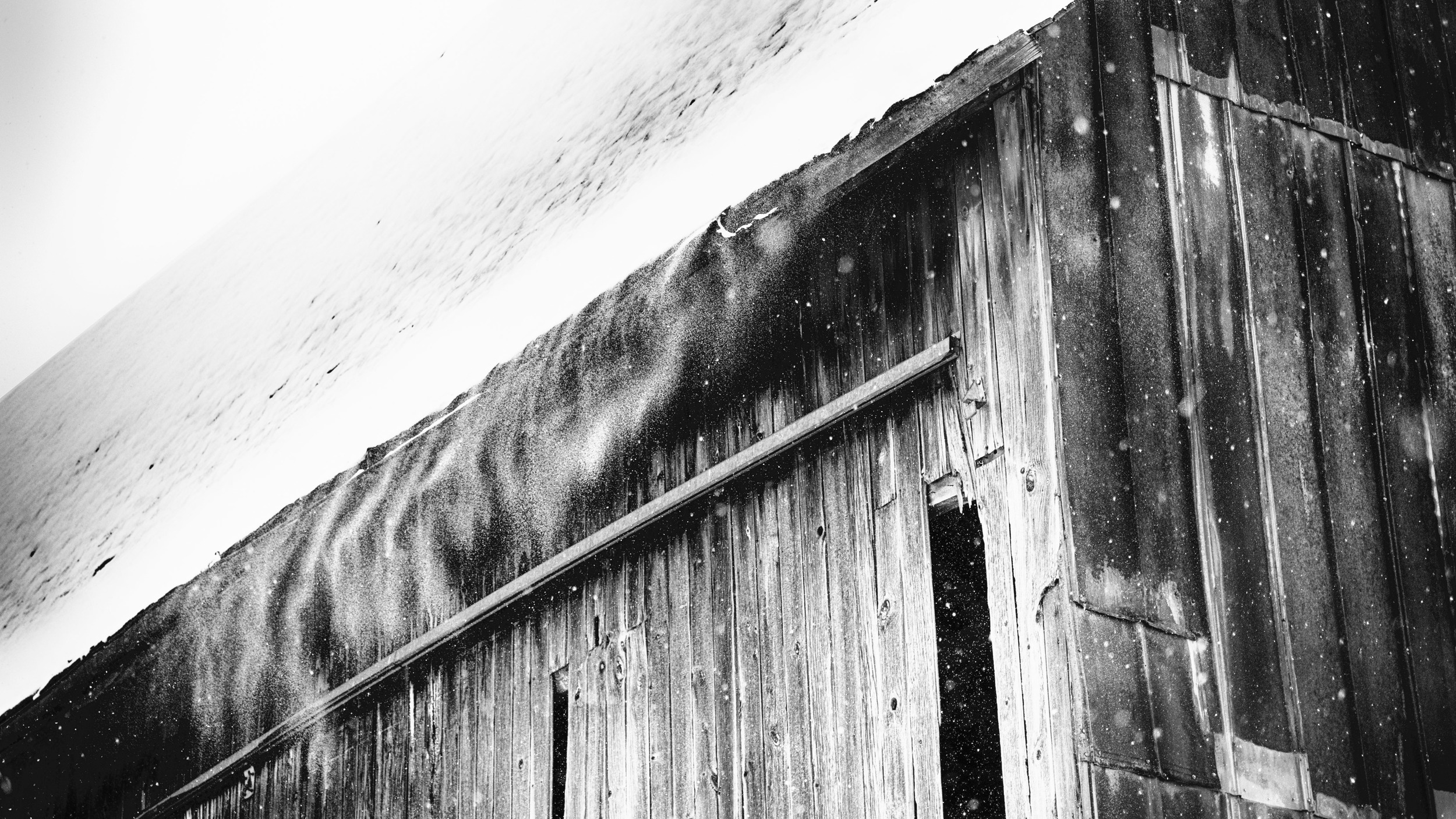 Wading through drifts that were waist deep I trudged on to shoot my favorite barn draped in cold and shedding snow.