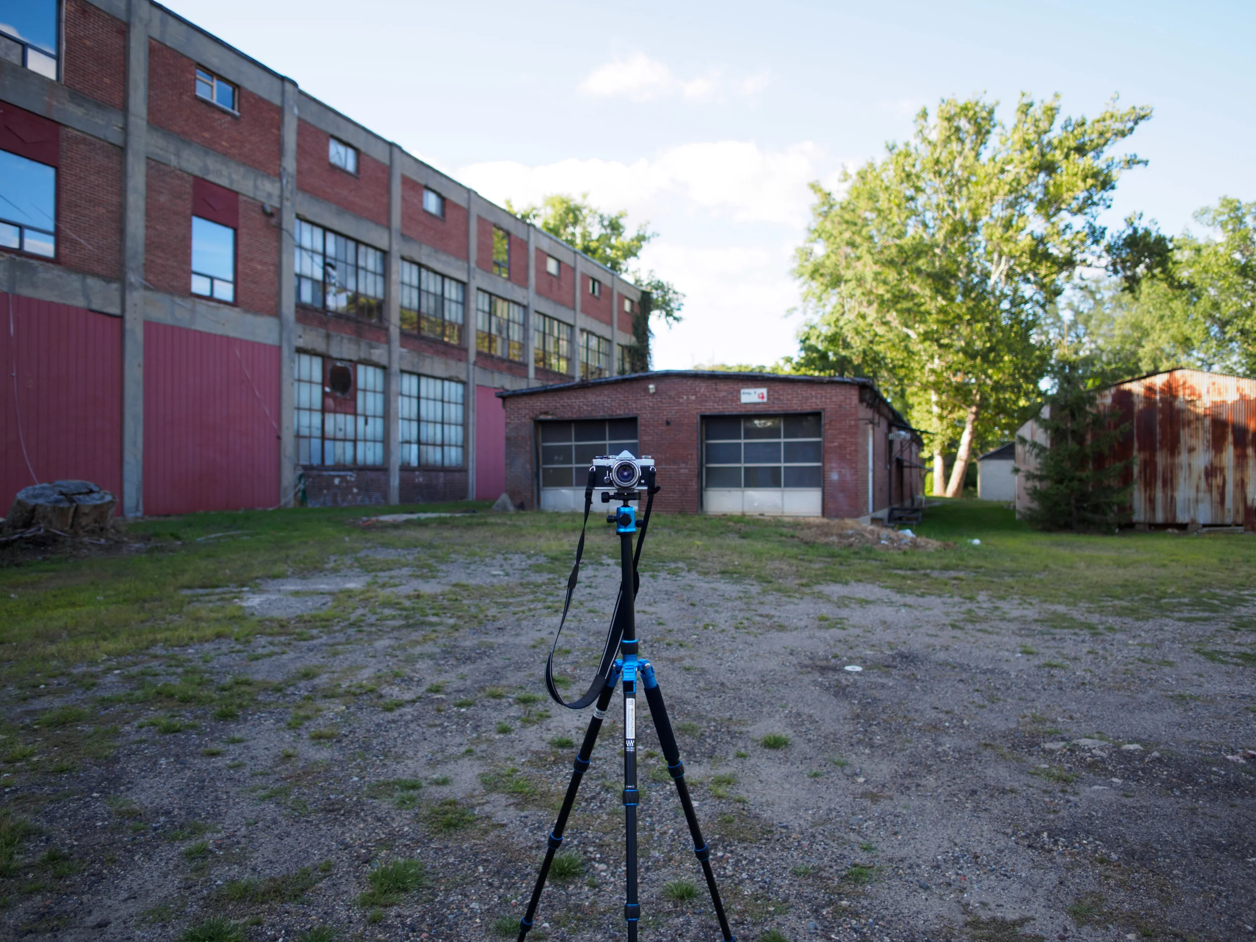 mZuiko 12mm f/2 7 feet from subject.