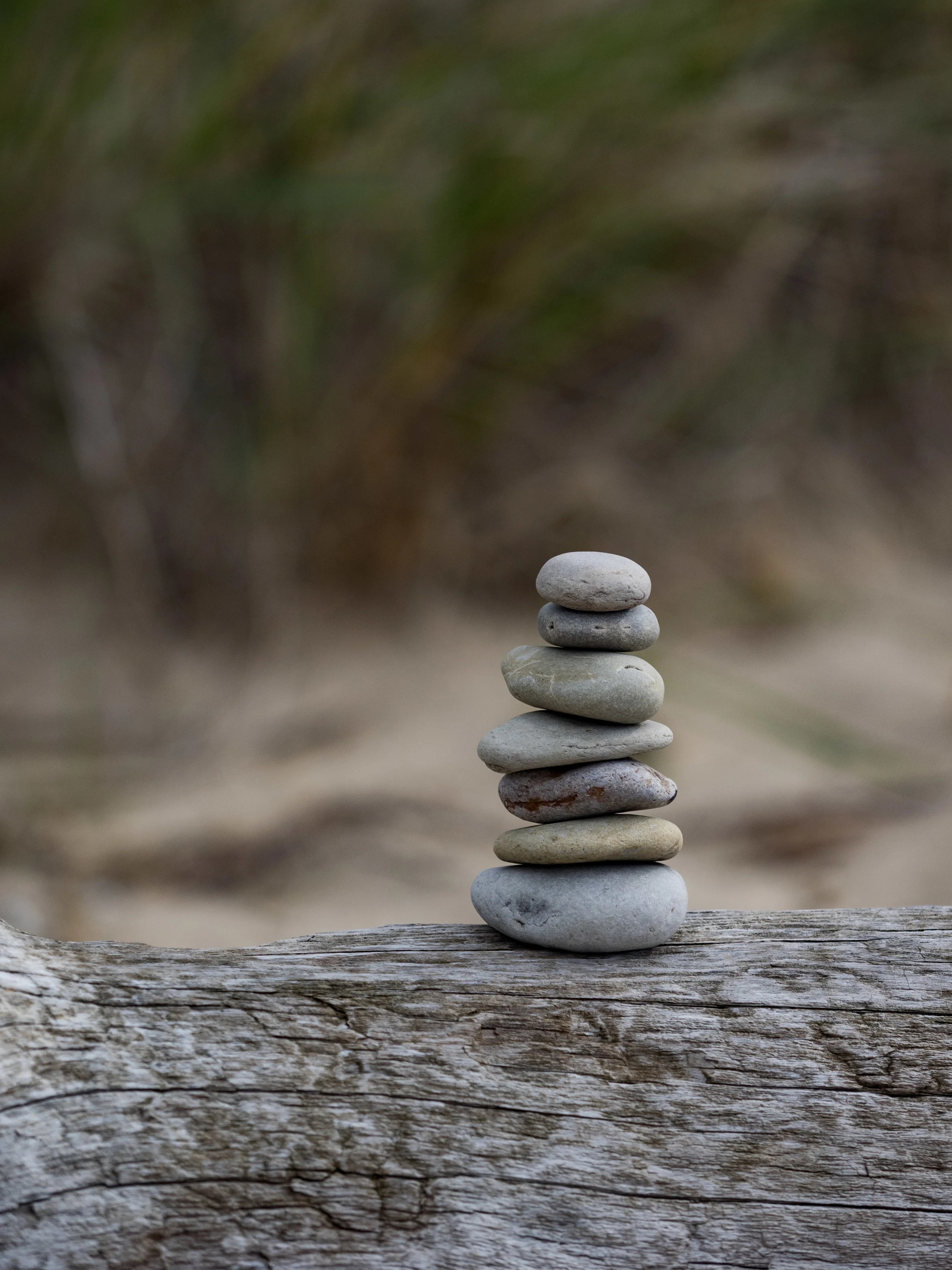 Another place we visited and loved was the Point Betsey Lighthouse. Along the shore were numerous rock stacks that I think always make for cool subjects.