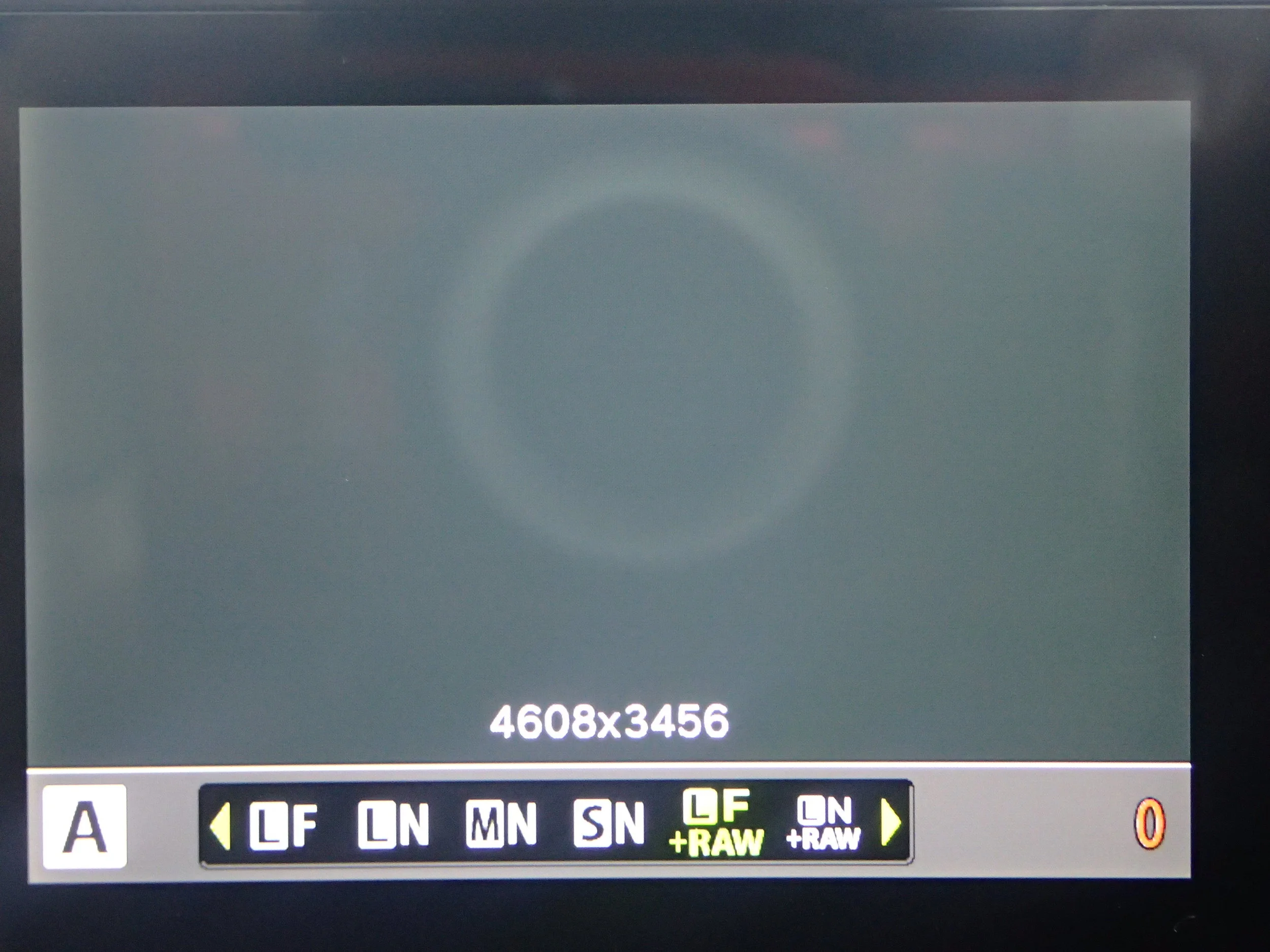 Now I have selected Large Fine JPG + RAW :)