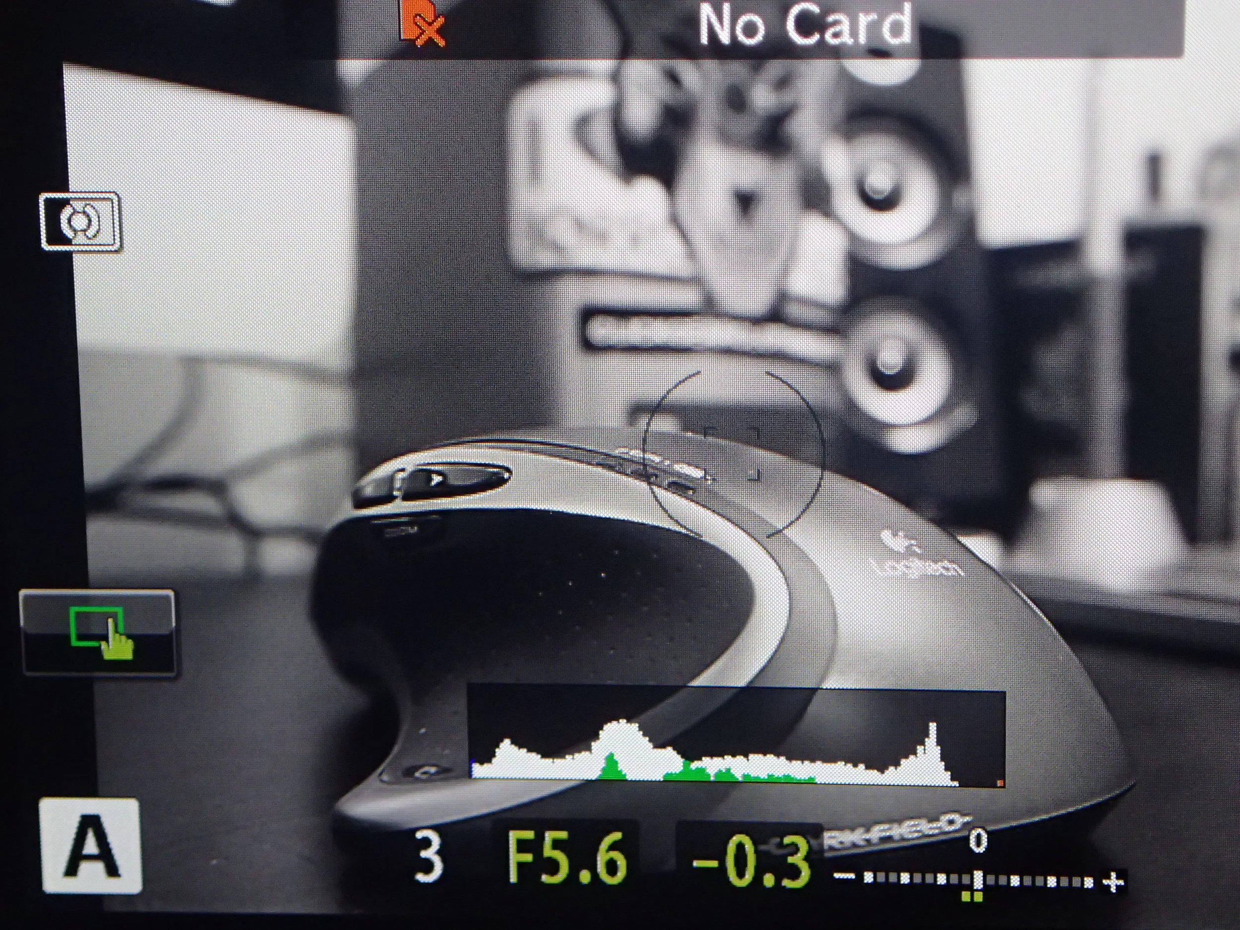 Eeek!! A Mouse....In B&W ;)