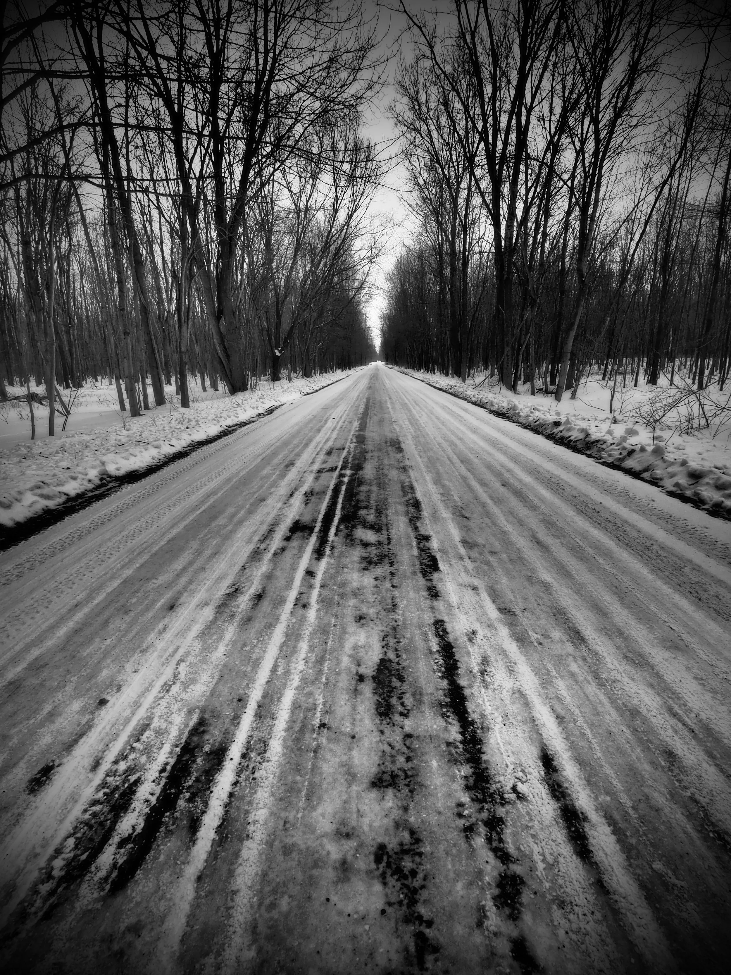 Dramatic Tone? In B&W?!?!? YES!!!!!!!