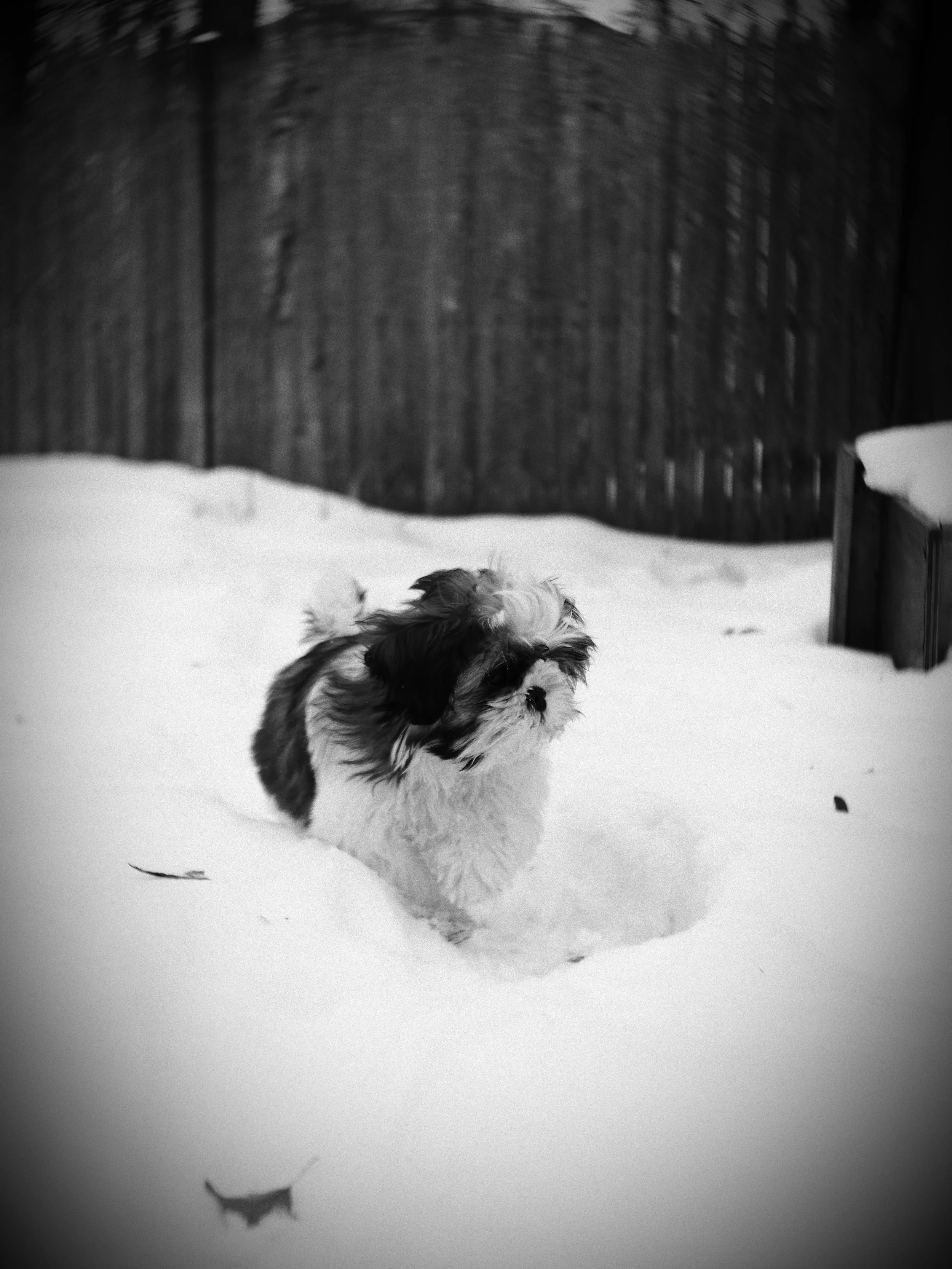Shot with the Twist optic using the Olympus PEN-F and in camera B&W