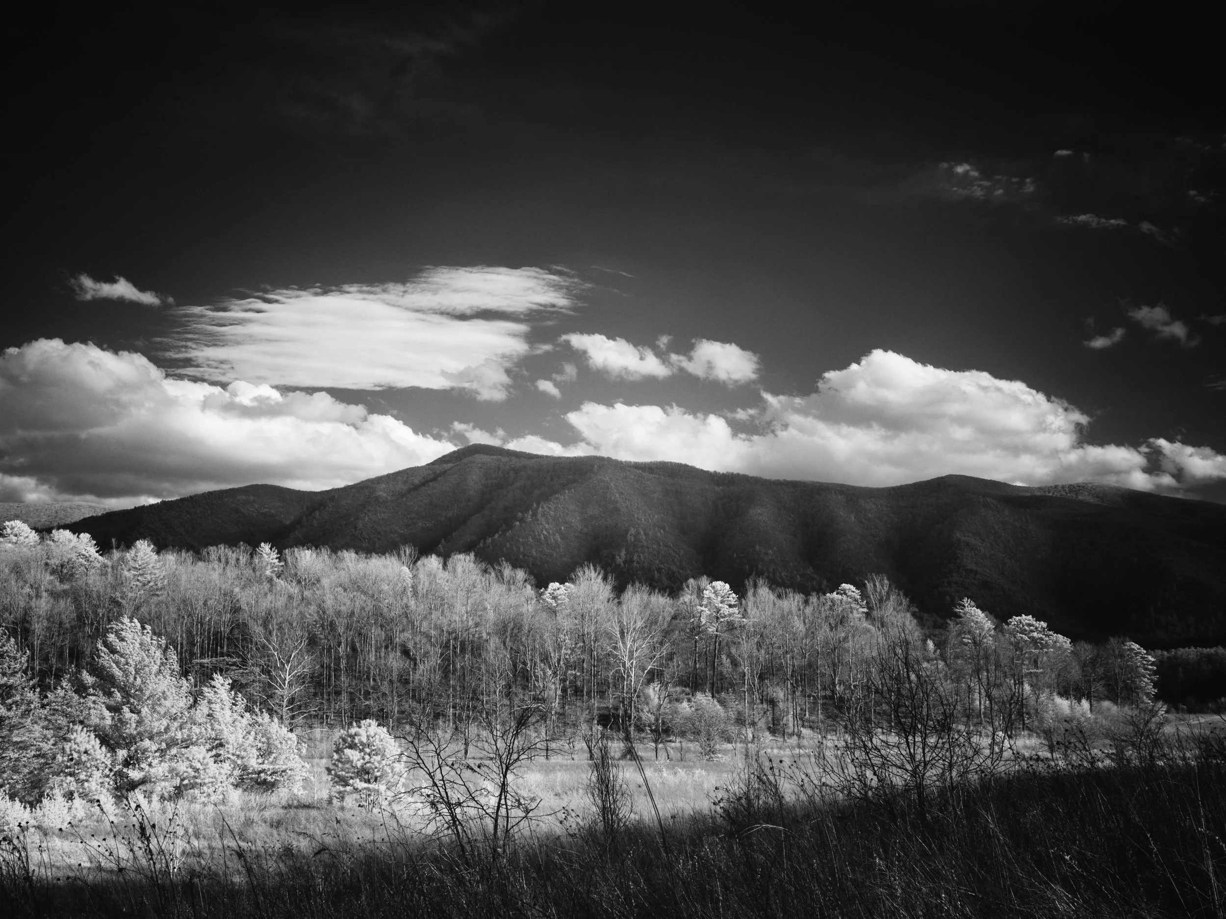 The last light of day as the sun sets in Cades Cove along Hyatt Lane. 30nm converted OM-D E-M1 MkI + mZuiko 12-100mm PRO