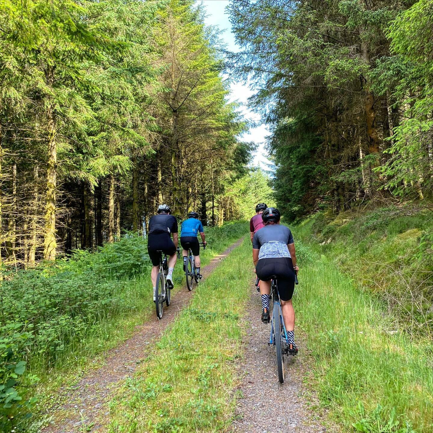 Fun few days exploring the endless gravel roads of Galloway Forest Park - the site of the upcoming @raidersgravel race/event. If you love riding pristine gravel with just you and the midges, get yourself to Dumfries and Galloway in the south of Scotl