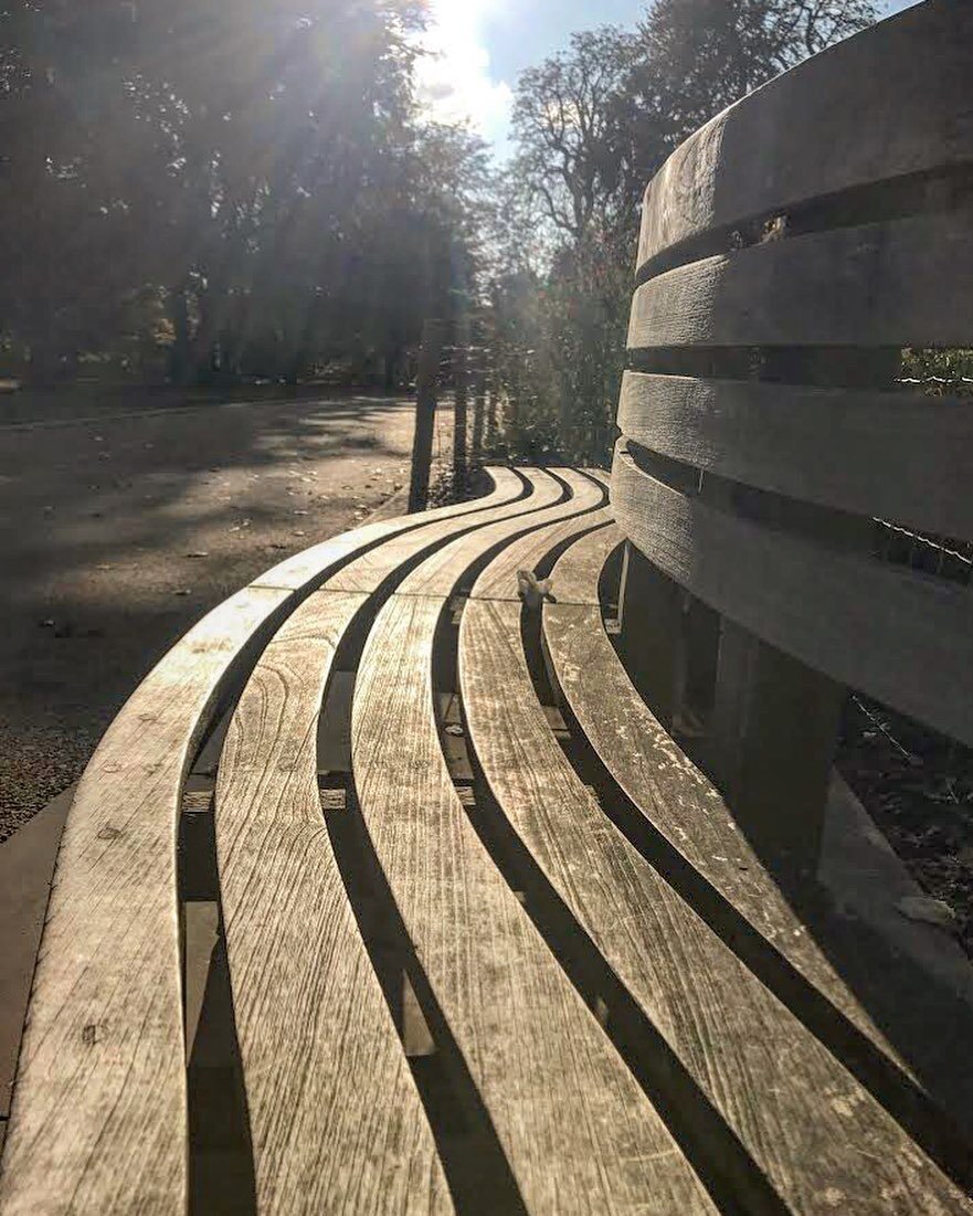 A very precious gift ☀️ during winter in England. Soaking up as much as I can...

#sunshine #england #london #winter #wintersun #coldweather #parkbench #royalparks #londonparks