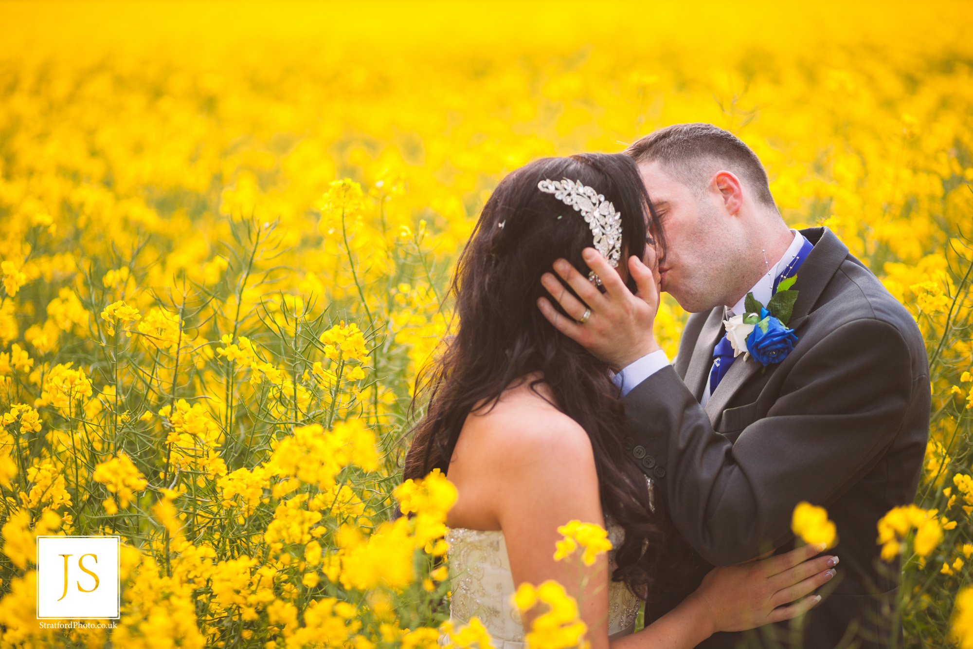 A groom kisses his bride passionately in a field of yellow rapeseed.jpg