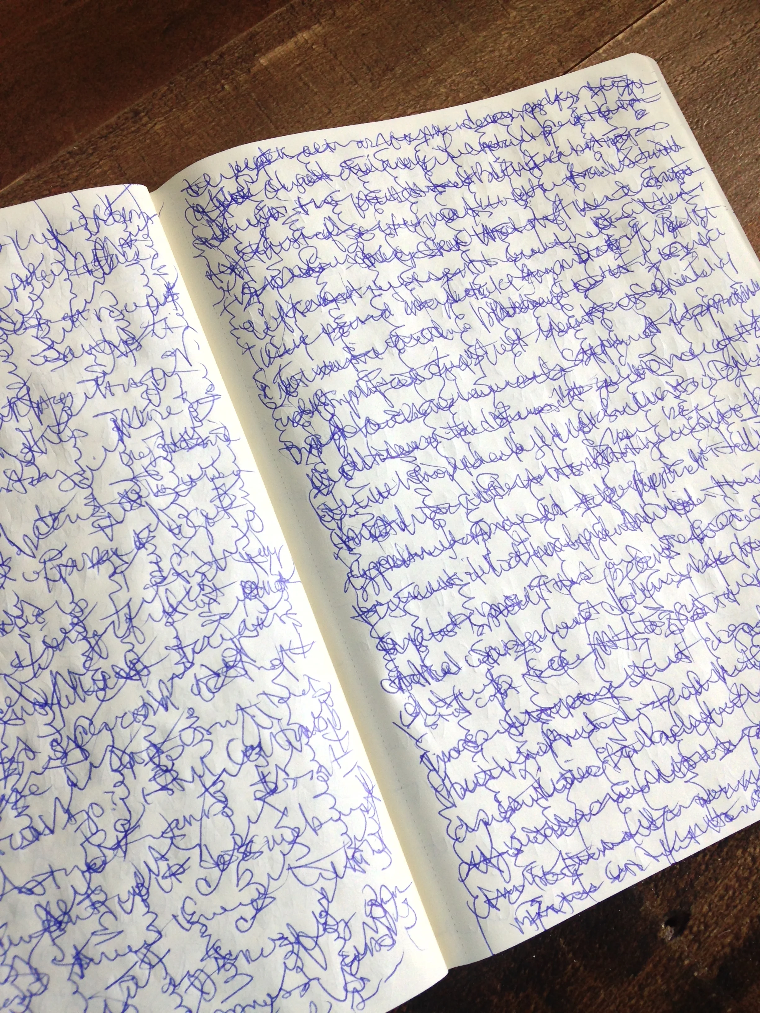 A page from my journal.