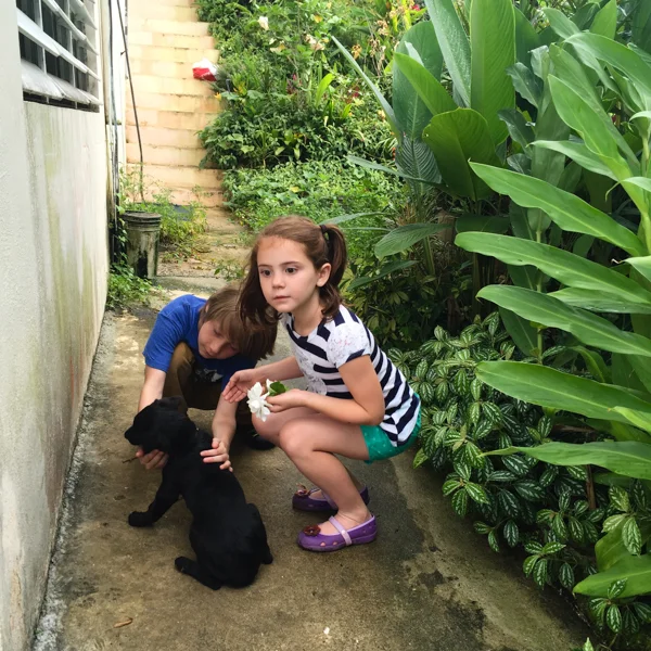 The kids loved the puppy and cat.