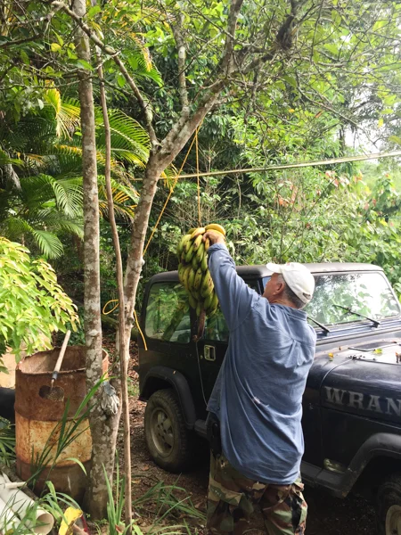 Israel was great with the kids. They loved spotting banana trees. When it was time for a snack Israel shared some of their bananas grown on their farm.