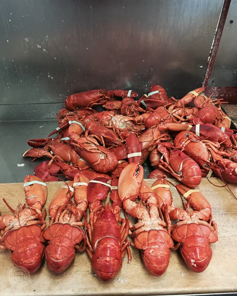 All the photos in this post were taken in Rockport, MA in September 2015.
