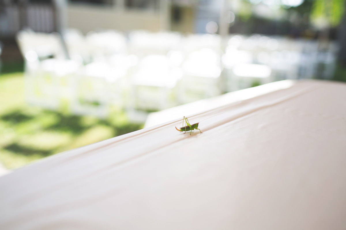 justinaleephotography036.jpg