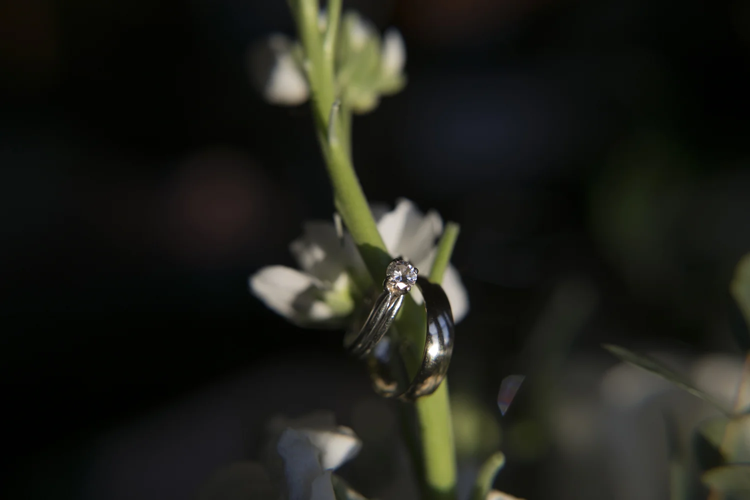 JustinaLeePhotography_0808.jpg