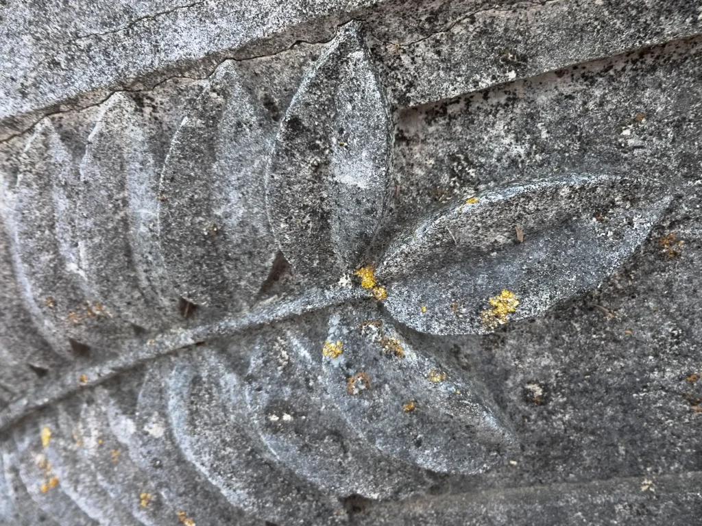 MagnoliaCemetary7.jpg