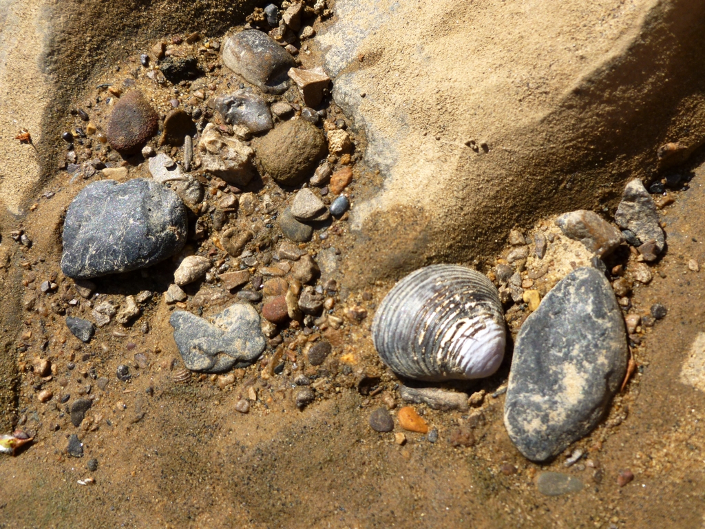 CahabaRiver6.jpg