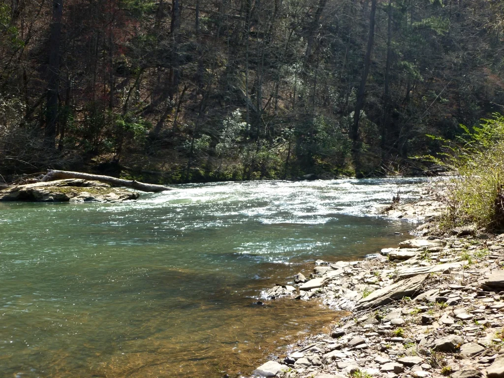 CahabaRiver12.jpg