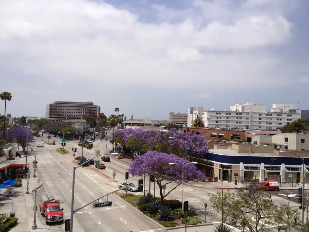 LA_Visit2.jpg