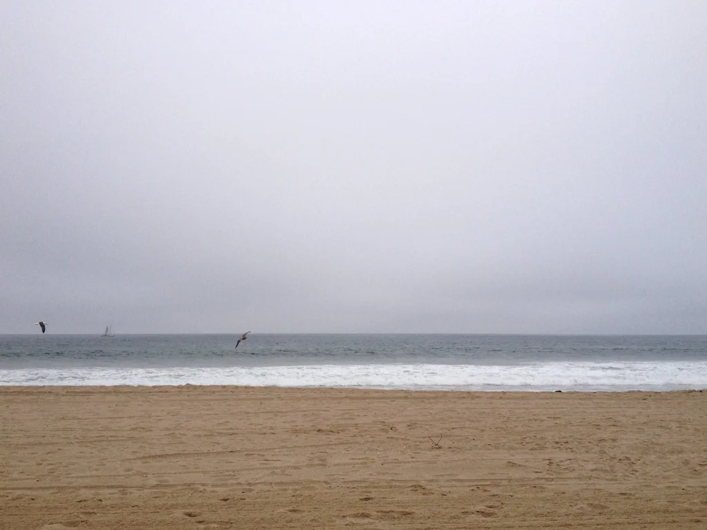 ShoreFog1.jpg