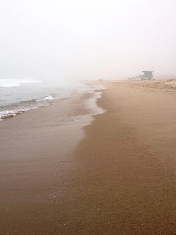 ShoreFog3.jpg