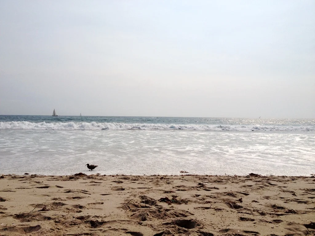 BeachSpinning1.jpg