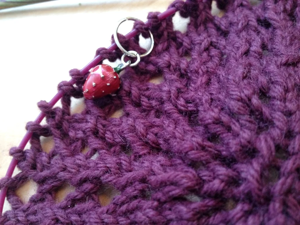 The start of something new on the needles.
