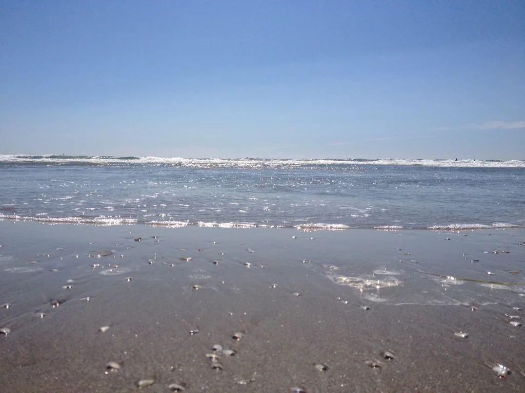 I love walking on the beach during low tide.