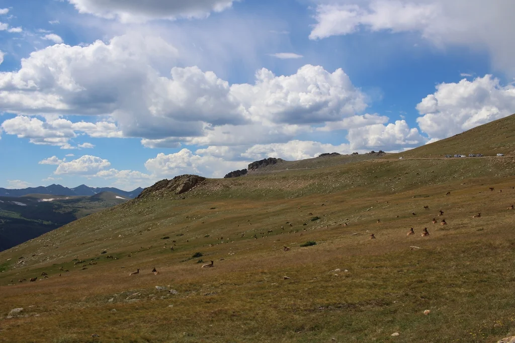 Exploring Rocky Mountain National Park | withwool.com