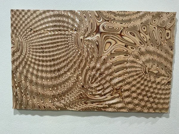 2025-01-05 17.08.21.jpg.jpeg