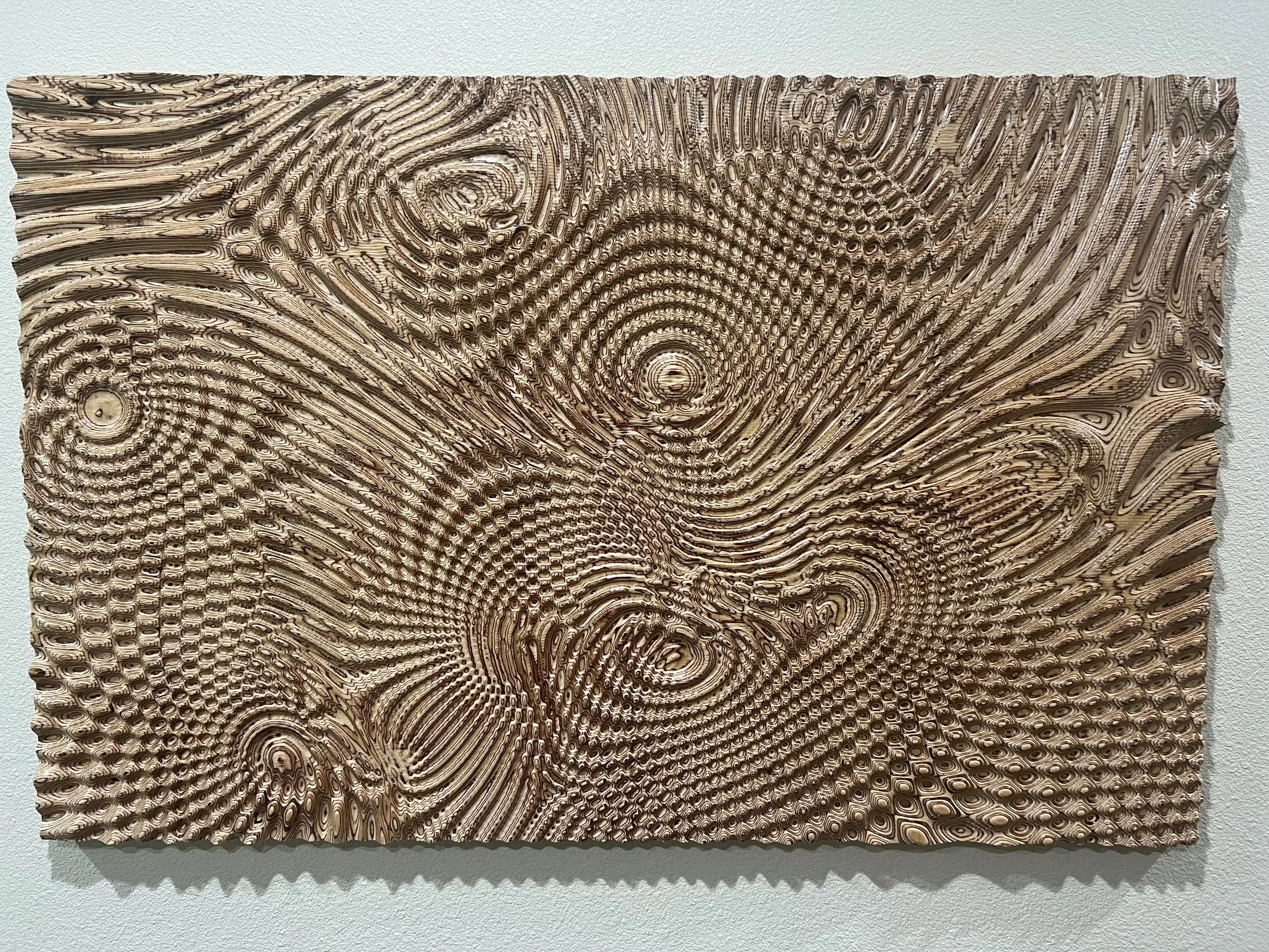 2024-12-23 15.18.27.jpg.jpeg