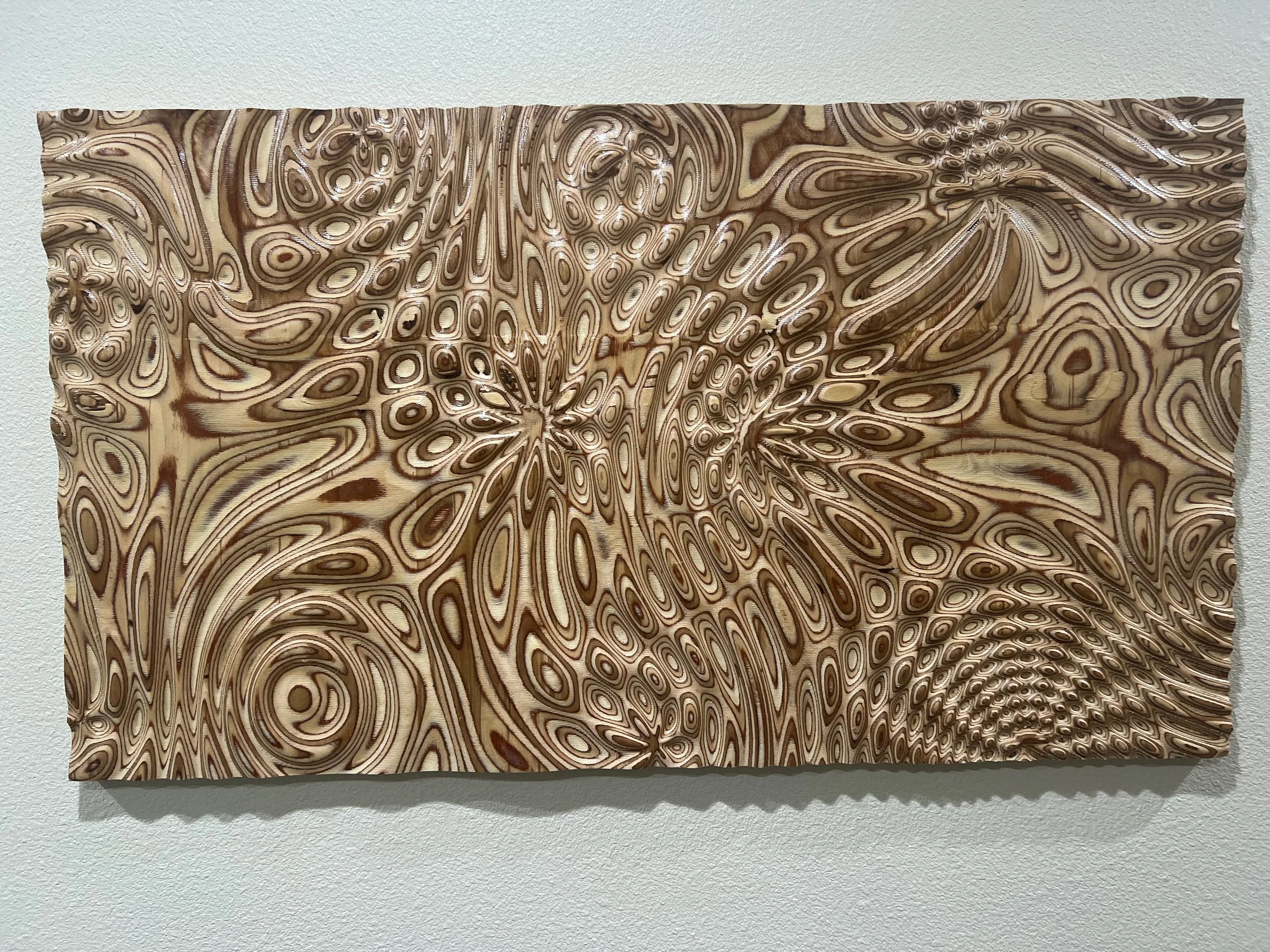 2024-12-23 15.23.34.jpg.jpeg