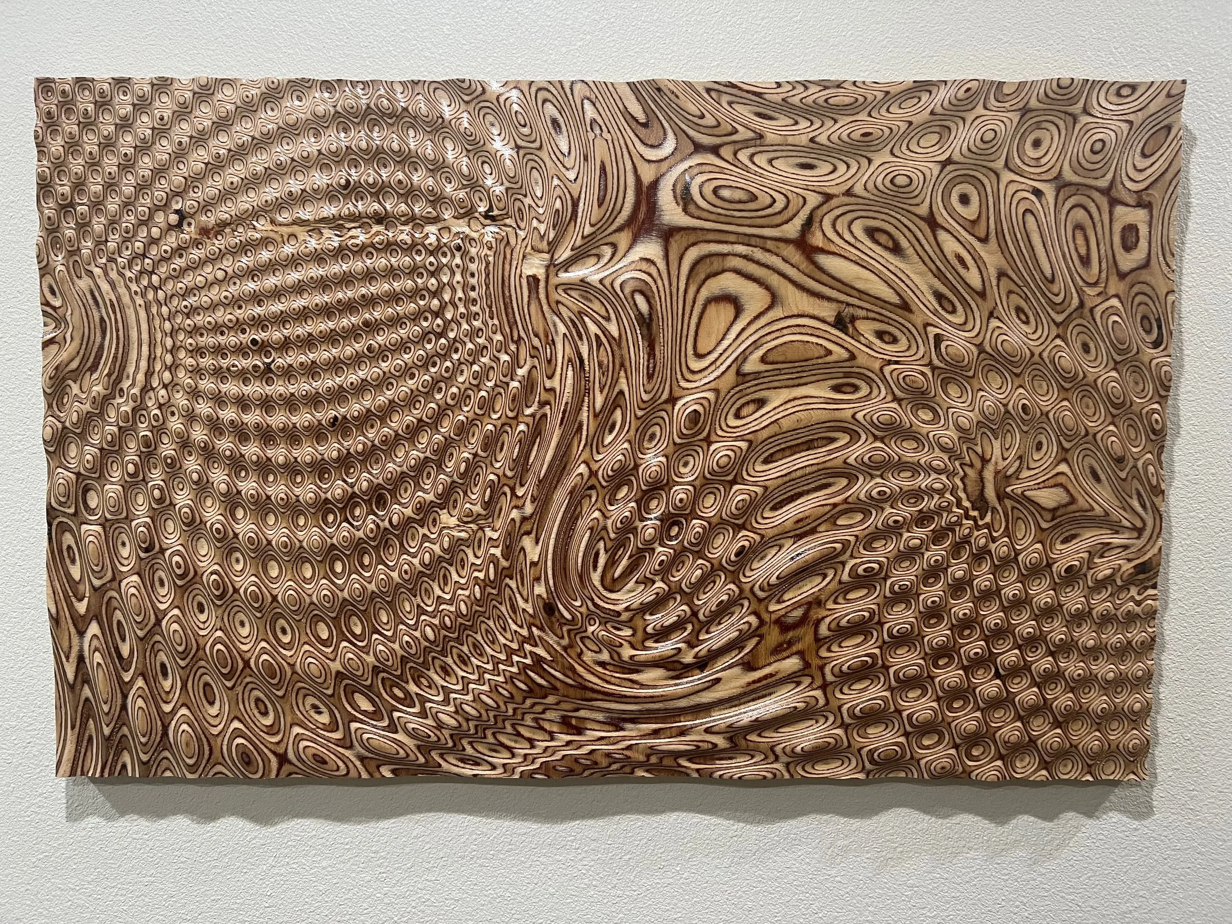 2024-12-23 15.12.44.jpg.jpeg