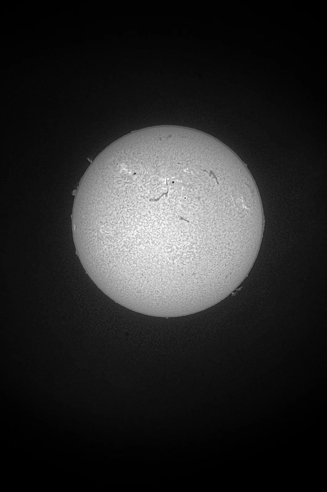 Third test image - 7-29-12