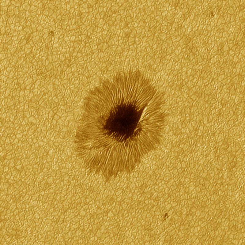 "Y esterday, I was very lucky with the seeing, allowing me to increase magnification considerably. Using the Basler Ace a1300 camera (3.6µm pixels) at 6 meter focal length and having a full-aperture solar filter on the 30cm Newton gave me considerable resolution, as you can see in the attached images."