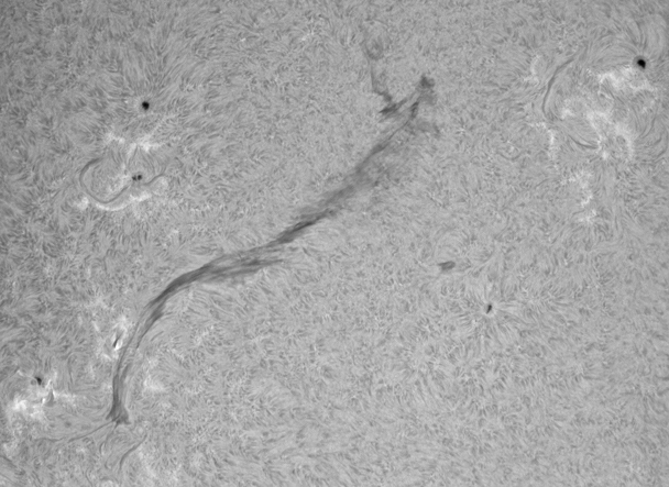 hi all had aprox 1 hour of clear skies, just enogh time to make this movie of the giant filament twisted flux tubes gone wild! captured at 1 minute intervals from 1635-1724. bummer the clouds rolled back in.this filament may be part active, part quiescent. looks like the end in the AR is stable, while the other side dances. perhaps the strong mag field over the AR is keeping the one end stable 