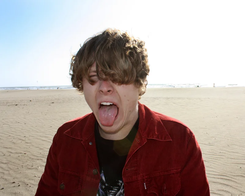 Ty_Segall.jpg