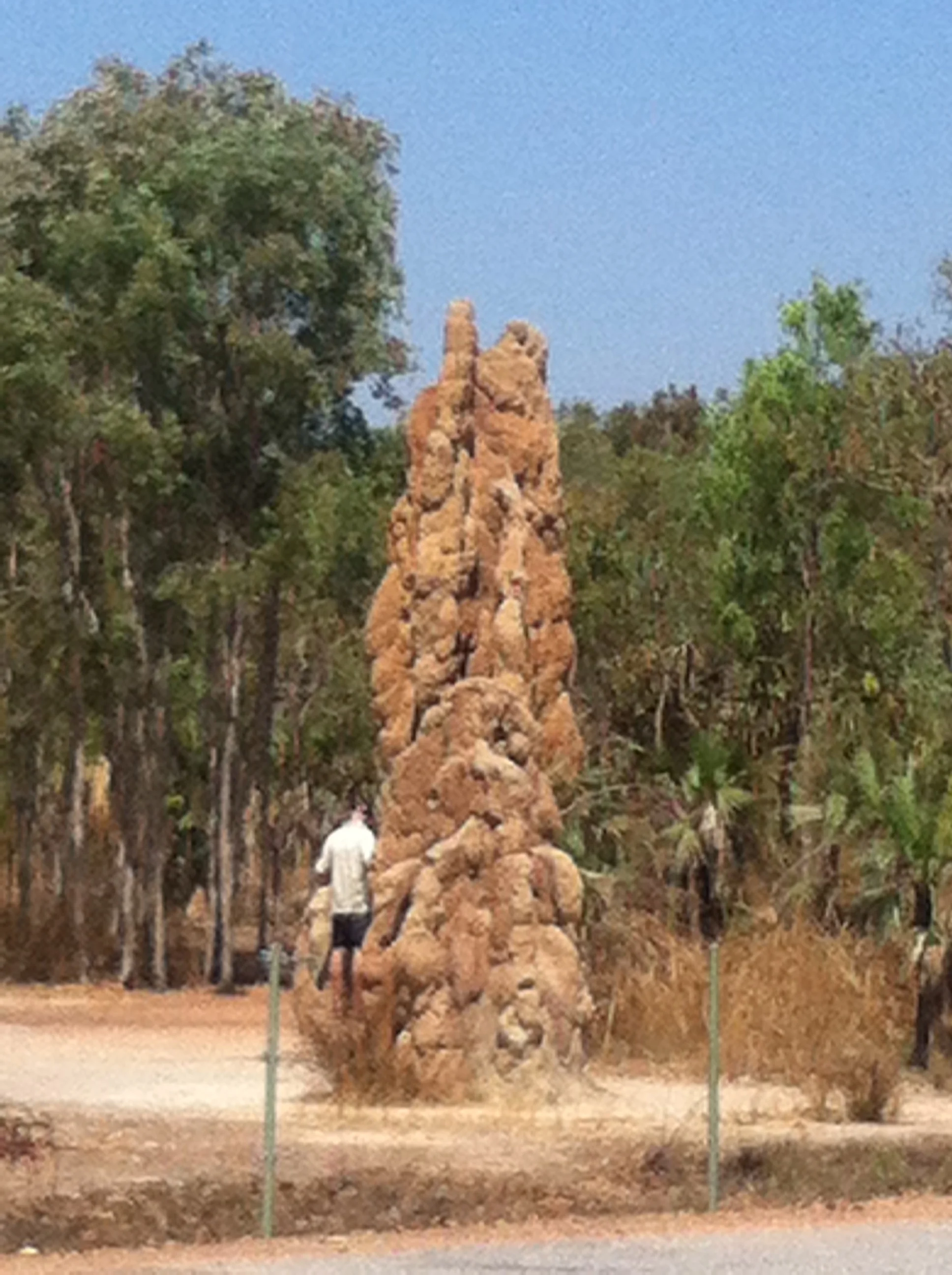 Magnetic termite mound.